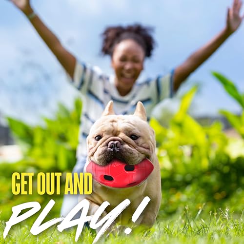 Nerf Dog Football – couleur rouge, meilleure visibilité lors des lancers.
