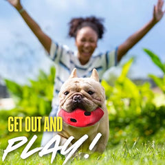Nerf Dog Football – couleur rouge, meilleure visibilité lors des lancers.