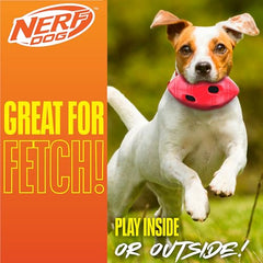 Nerf Dog Football – sifflet interactif pour sessions de jeu dynamiques.