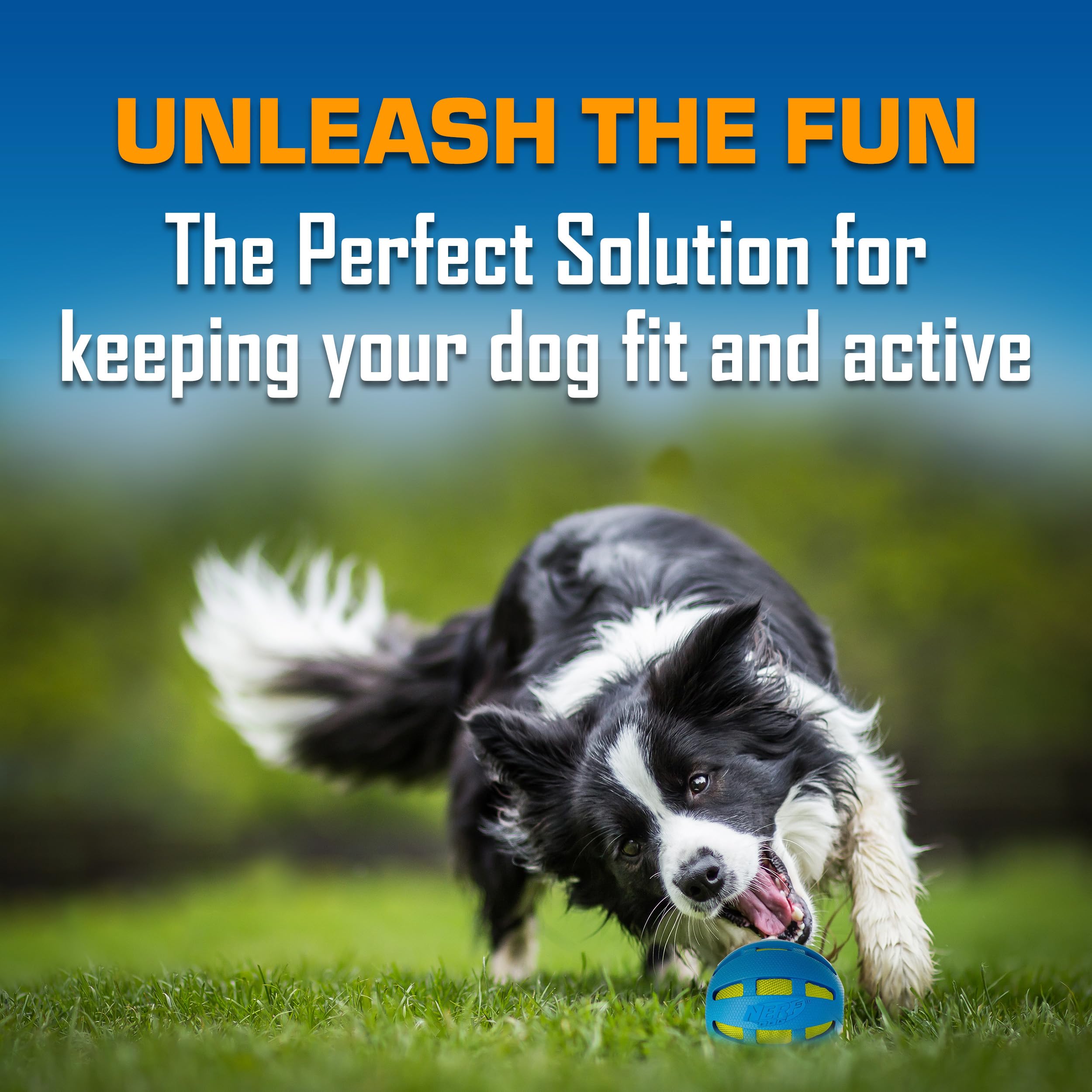 Nerf Dog Tire Squeak Football, visuel clair pour des sessions dynamiques.