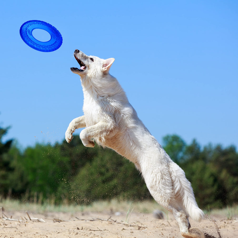 Nerf Dog frisbee translucide bleu, idéal pour lancer et apprendre des tours