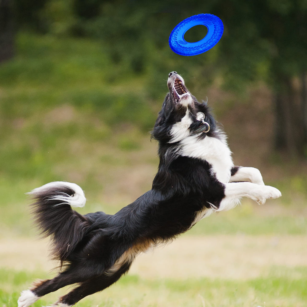 Nerf Dog frisbee translucide bleu, léger et pratique pour l'entraînement