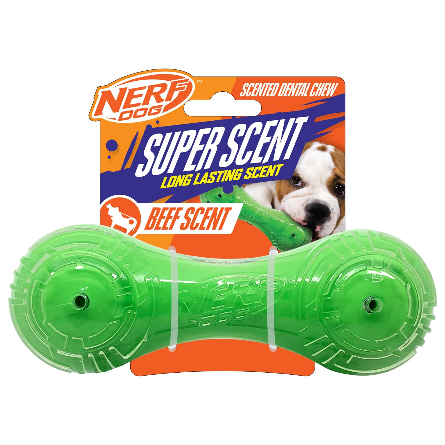 Jouet Nerf Dog haltère parfumé au boeuf, idéal pour le jeu interactif.