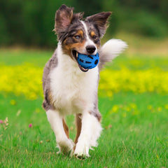 Balle Nerf Dog jouet interactif bleu pour sessions de jeu dynamiques.