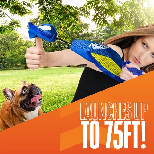 Nerf Dog nylon bleu-vert, oiseau de lancer idéal pour les sessions en extérieur.