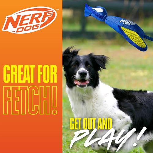 Nerf Dog jouet de lancer en nylon bleu-vert, conçu pour chiens moyens et grands.