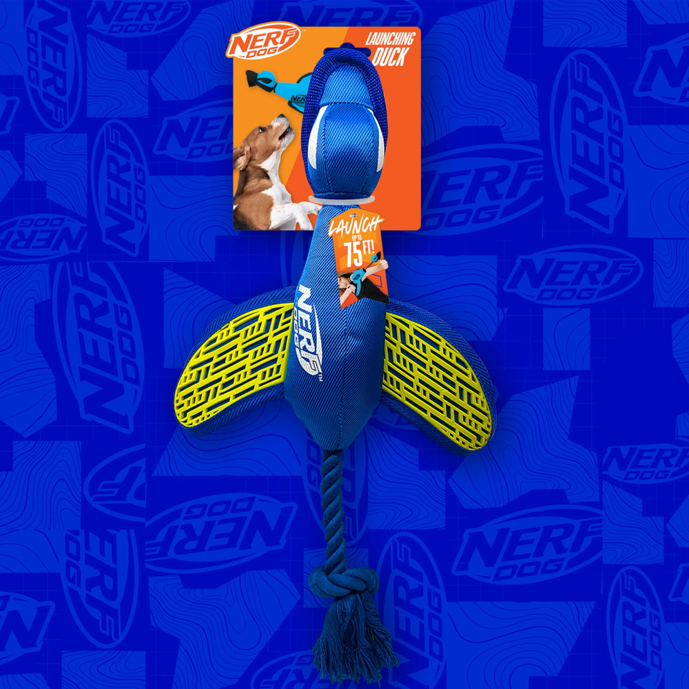 Nerf Dog, oiseau de 16,5 pouces, adapté aux grandes races.