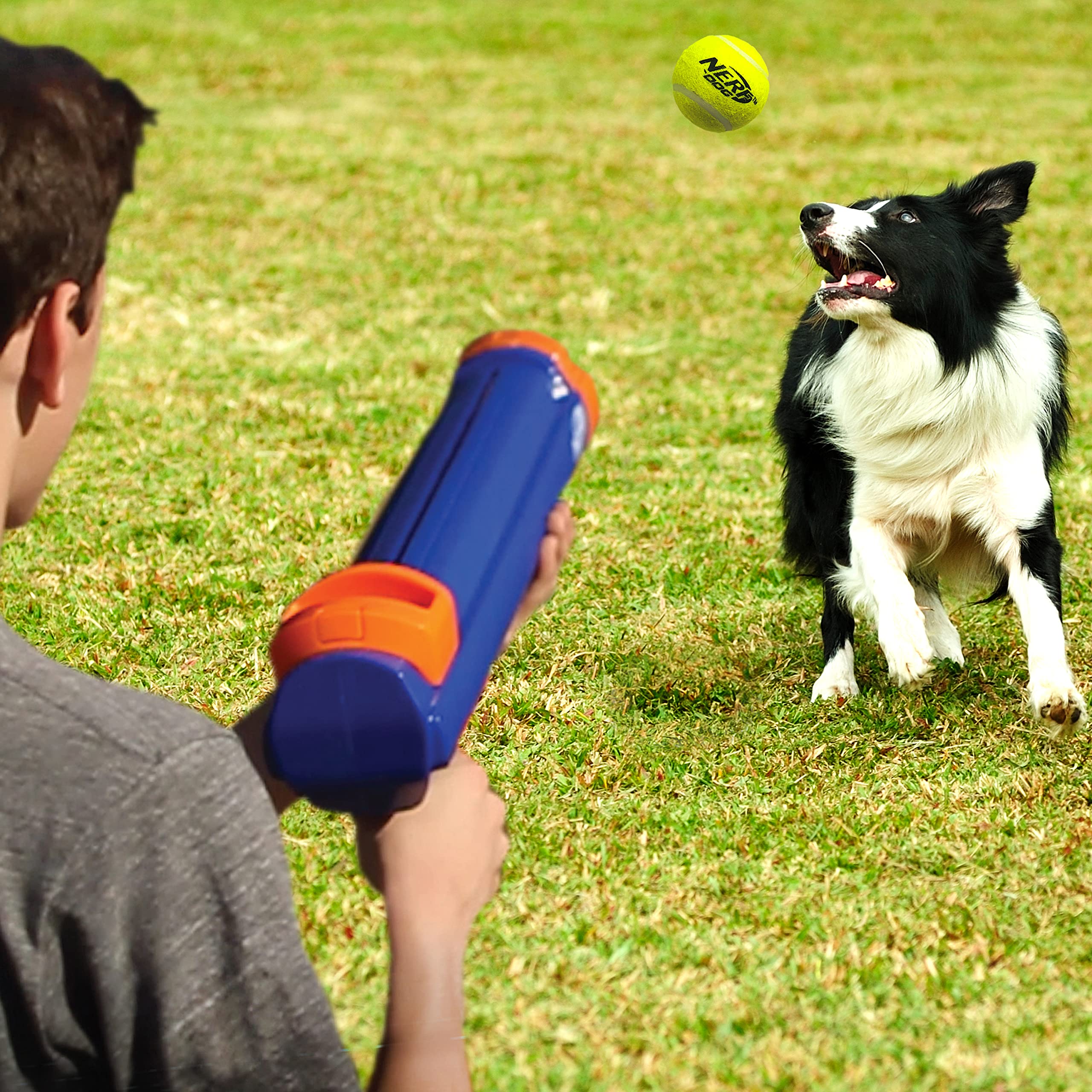 Nerf Dog lanceur-ballons tennis grande taille chargé sans mains pour des jeux sans effort.
