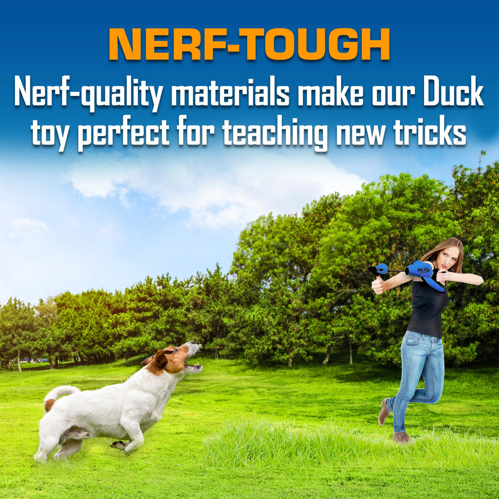 Nerf Dog Longueur 16,5 Pouces, canard taille adaptée pour chiens moyens et grands.