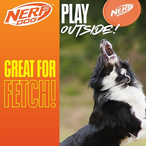 Nerf Dog Nylon Flyer diamètre 9 pouces, haute visibilité pour retrouver rapidement