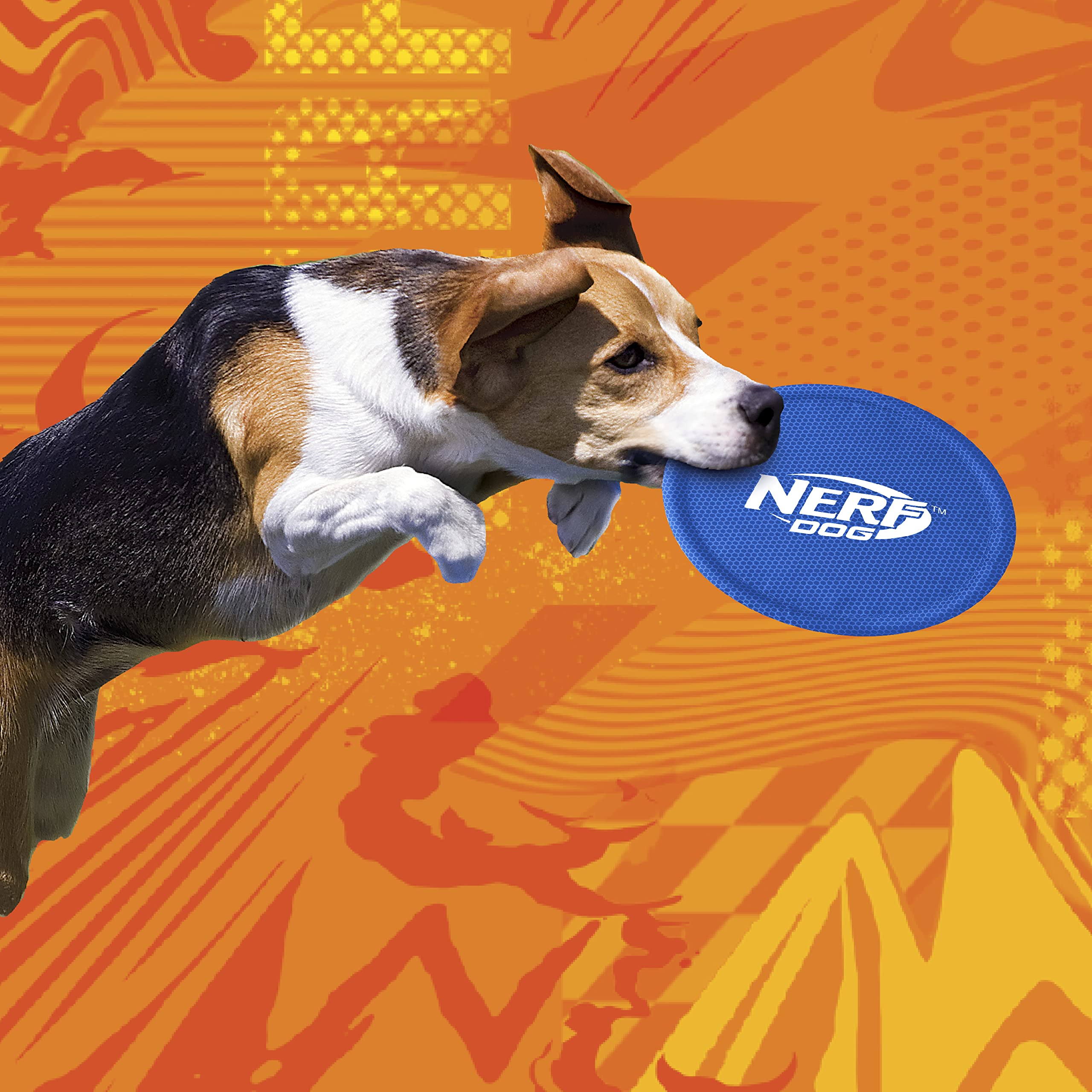 Nerf Dog Nylon Flyer utilisé sur plage et lac pour chiens moyens et grands.