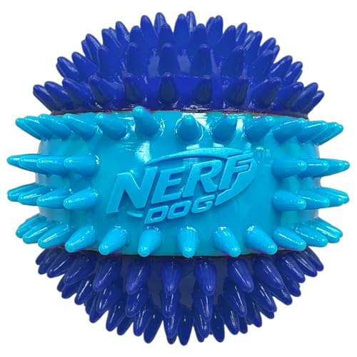 Balle Nerf Dog avec pics dentaires pour nettoyer les dents pendant le jeu.