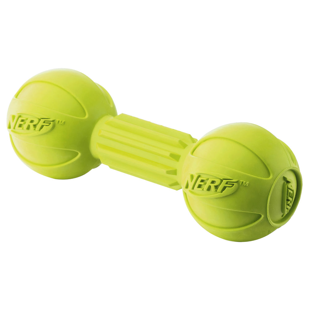 Nerf Dog pour moyens et grands chiens: distraction durable.