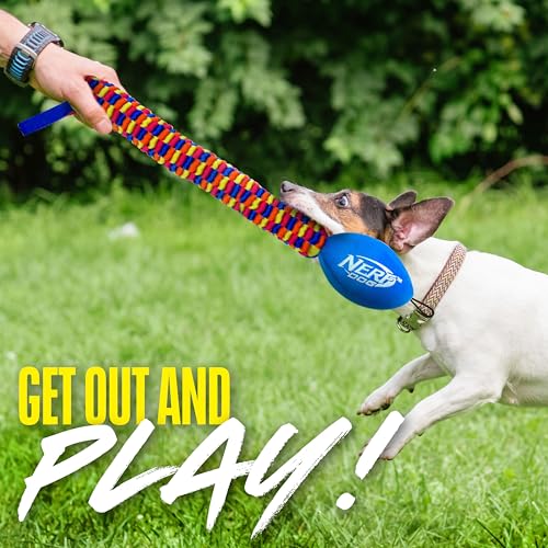 Jouet Nerf Dog Rainbow Vortex léger et durable, résistant à l'eau