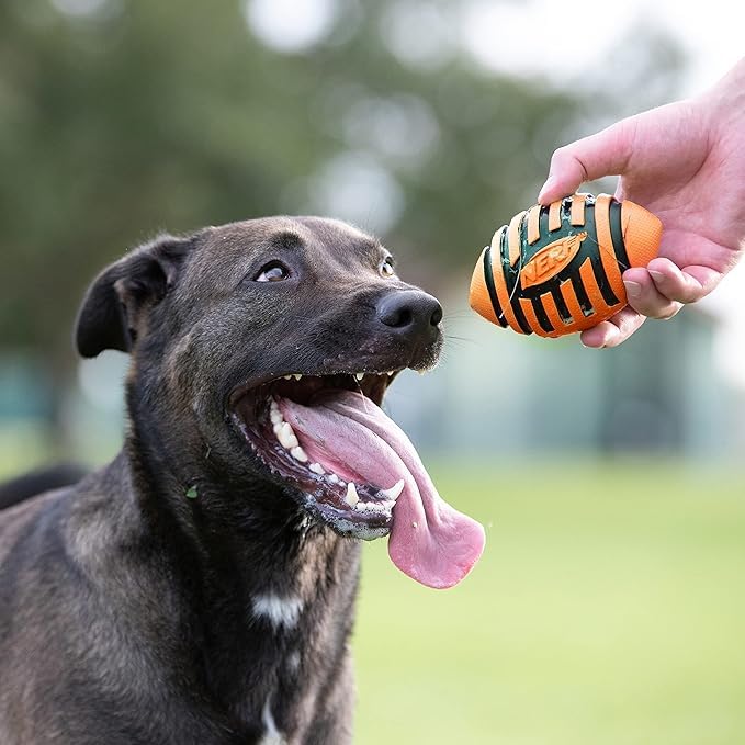 Nerf Dog Spiral Squeak Football se transporte facilement pour les sorties en plein air.