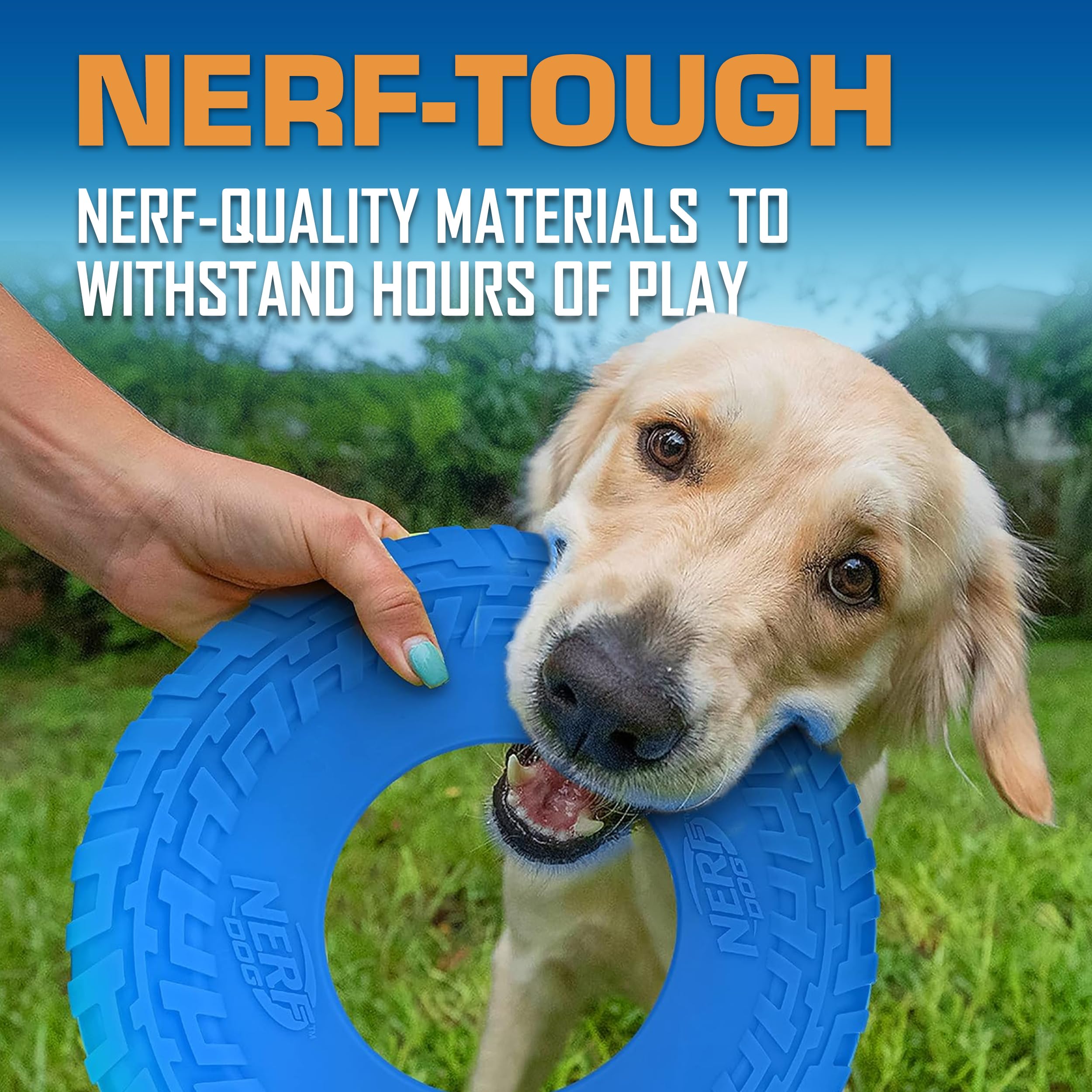 Nerf Dog Tire Flyer bleu, durable et conçu pour le jeu en extérieur.