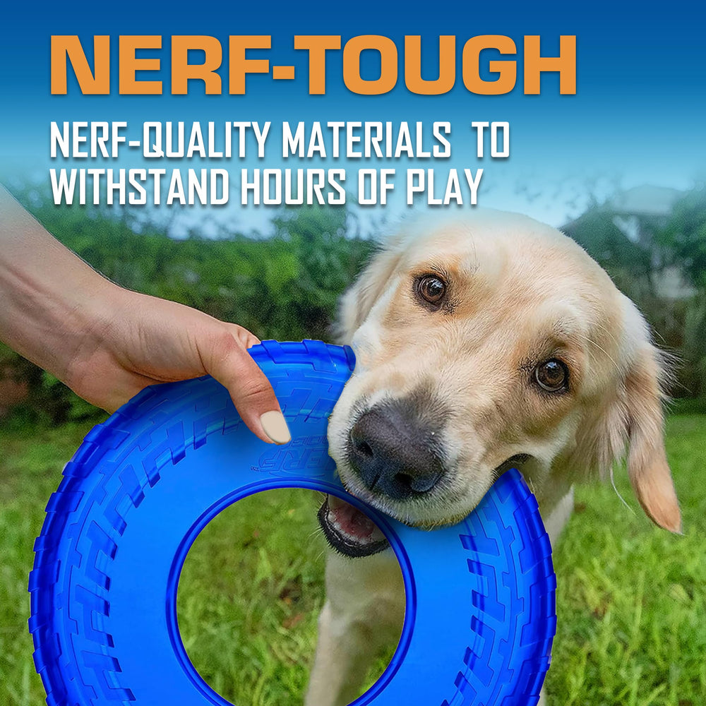 Nerf Dog Tire Flyer en action, disque léger et robuste pour des jeux prolongés