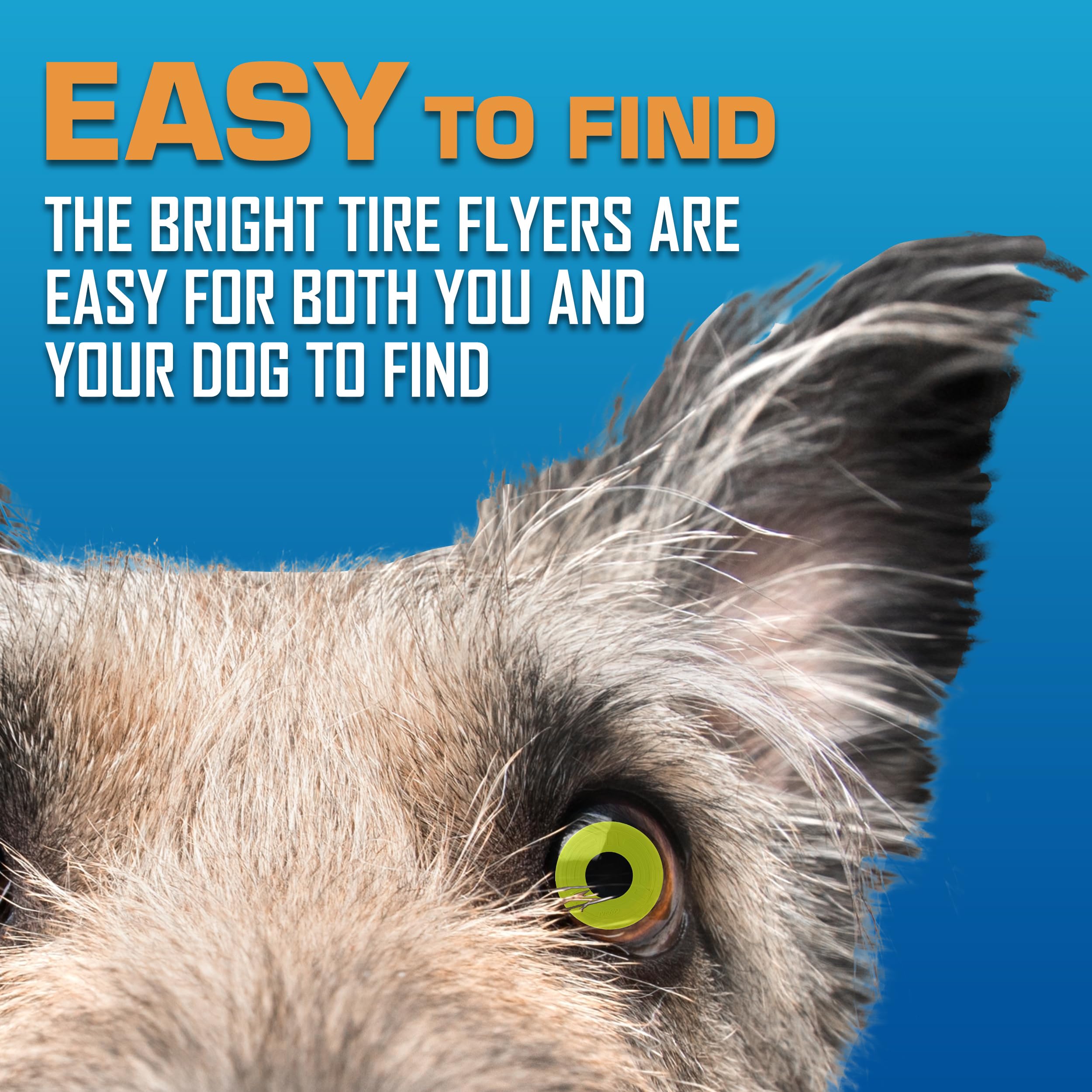Nerf Dog Tire Flyer flottant, idéal pour plans d’eau et étangs