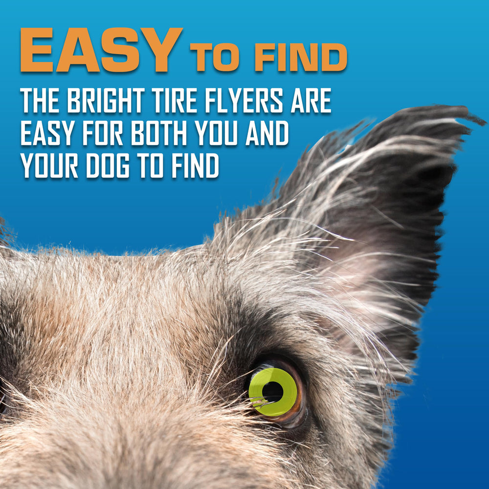 Nerf Dog Tire Flyer flottant, idéal pour plans d’eau et étangs