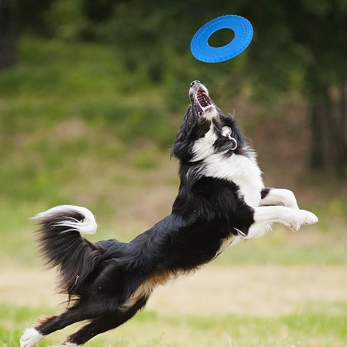 Nerf Dog Tire Flyer: disque volant bleu pour fetch sûr et amusant.