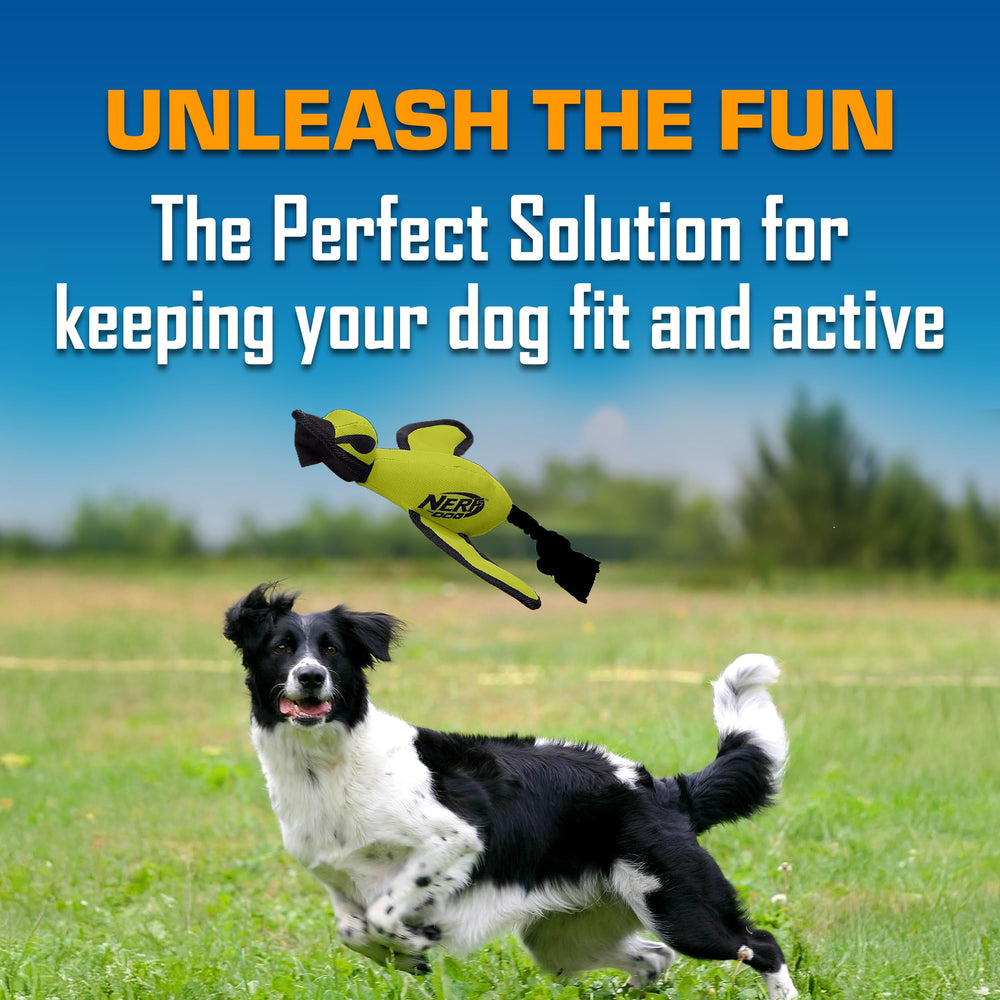 Nerf Dog Trackshot: couleur verte vive pour repérer le jouet rapidement.