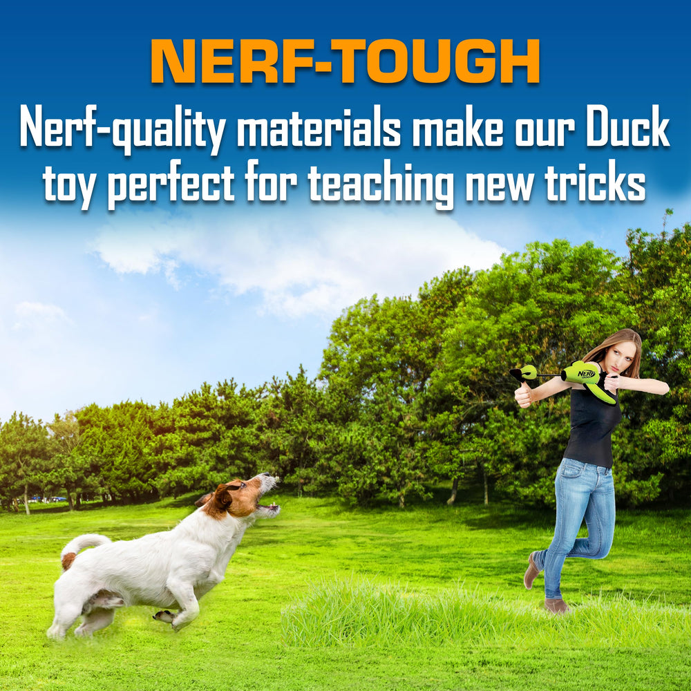 Nerf Dog Trackshot: surface résistante en polyuréthane, durable lors des jeux.