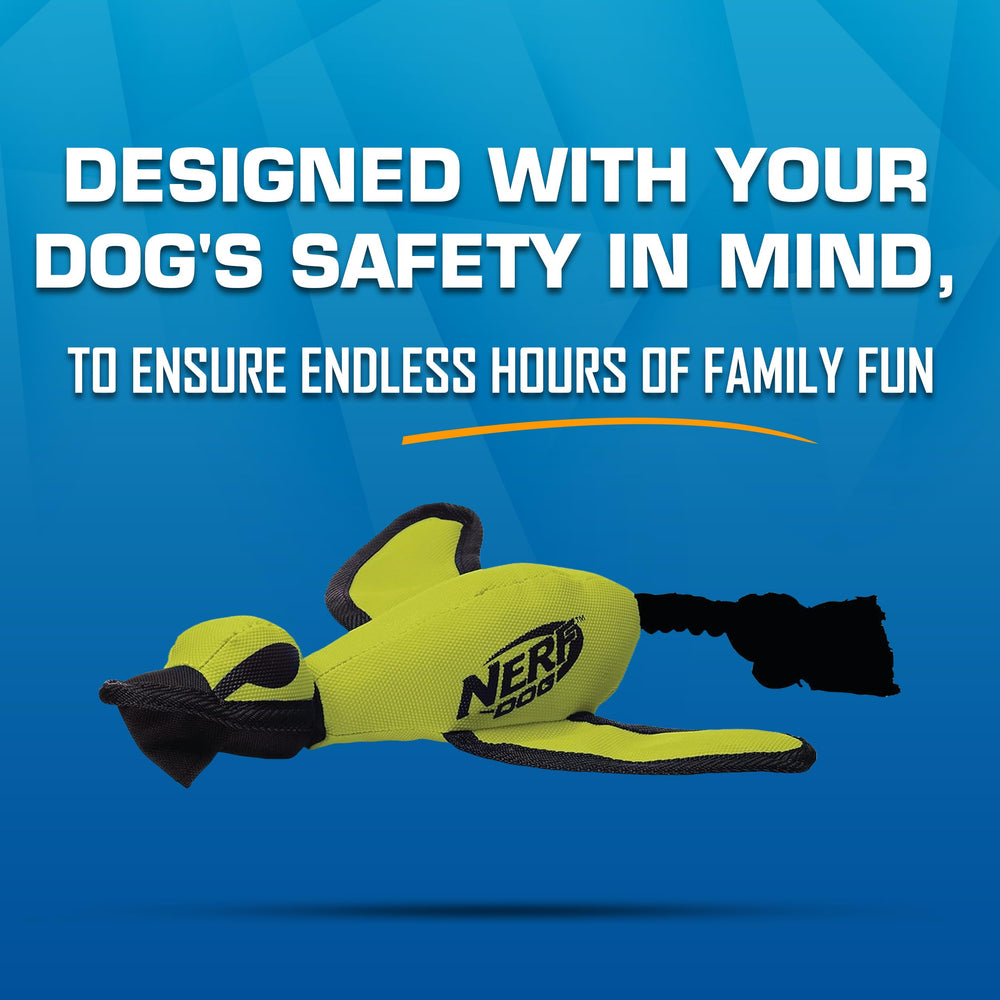 Nerf Dog Trackshot: design sûr et adapté au jeu en plein air.