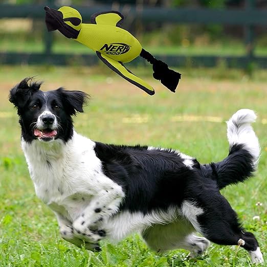Nerf Dog Trackshot: adapté aux chiens moyens et grands pour la récupération.