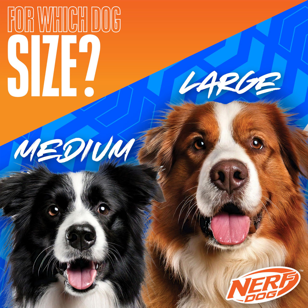 Nerf Dog Tug 3 anneaux en action, jeu familial interactif