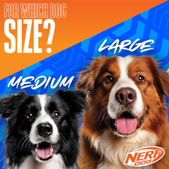 Nerf Dog Tug 3 anneaux en action, jeu familial interactif