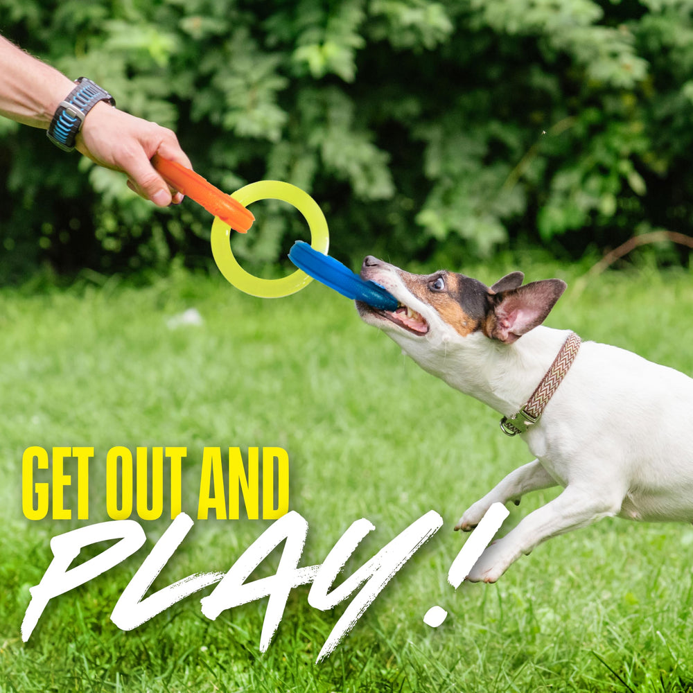 Nerf Dog Tug 3 anneaux pour jouer dehors et exercice