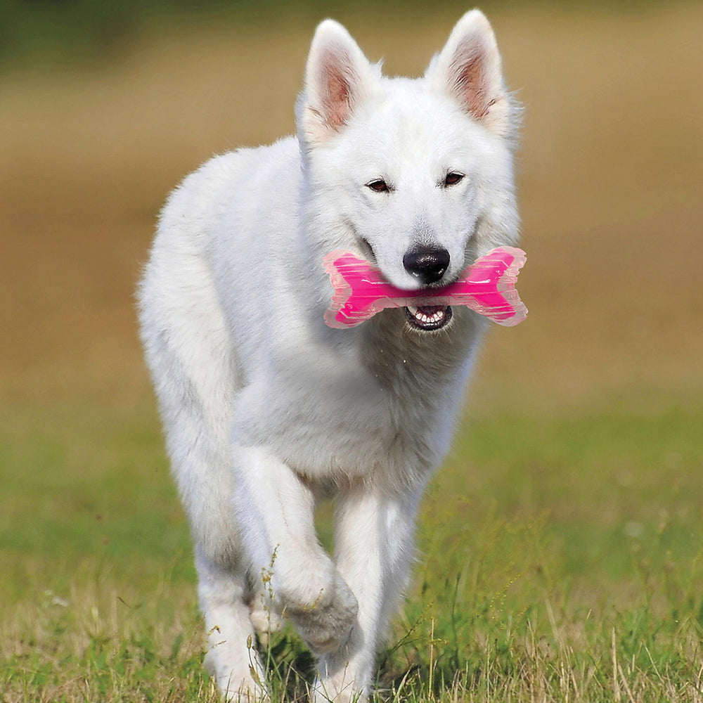 Nerf Dog utilisation extérieure rose clair 9po: idéal pour sorties et jeux.