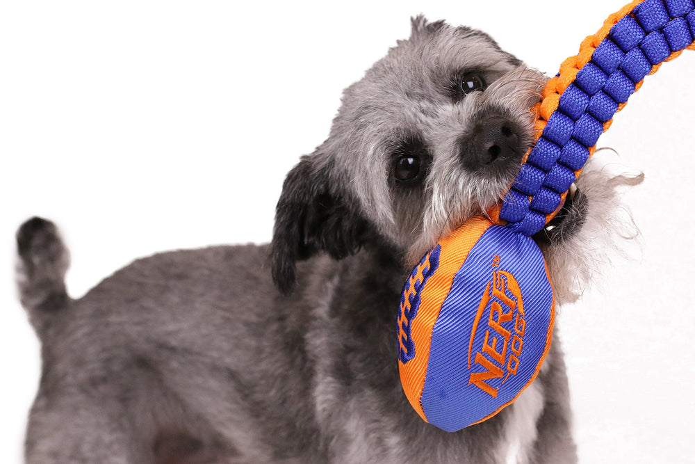 Nerf Dog Vortex, jeu deux-en-un: tête-sifflet et corde robuste.