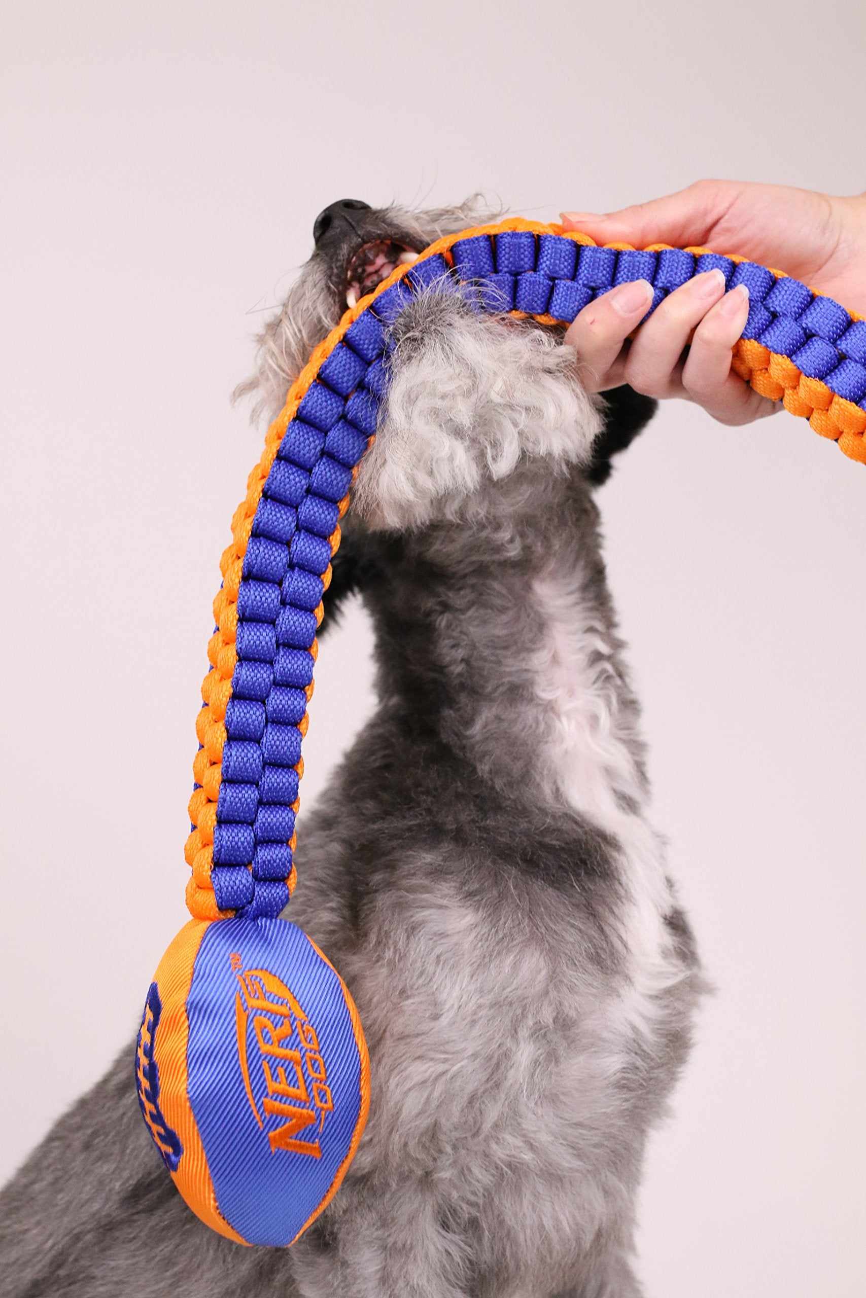 Nerf Dog Vortex longueur 30 po, adaptée pour les chiens actifs.