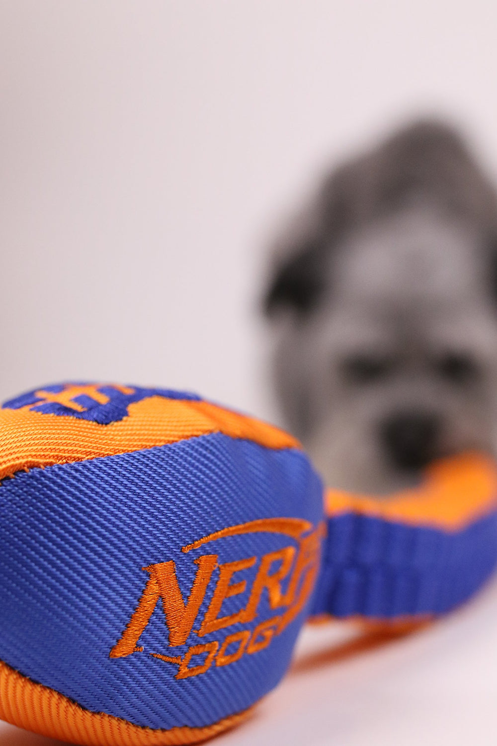 Nerf Dog Vortex, matériau durable pour une longue utilisation.