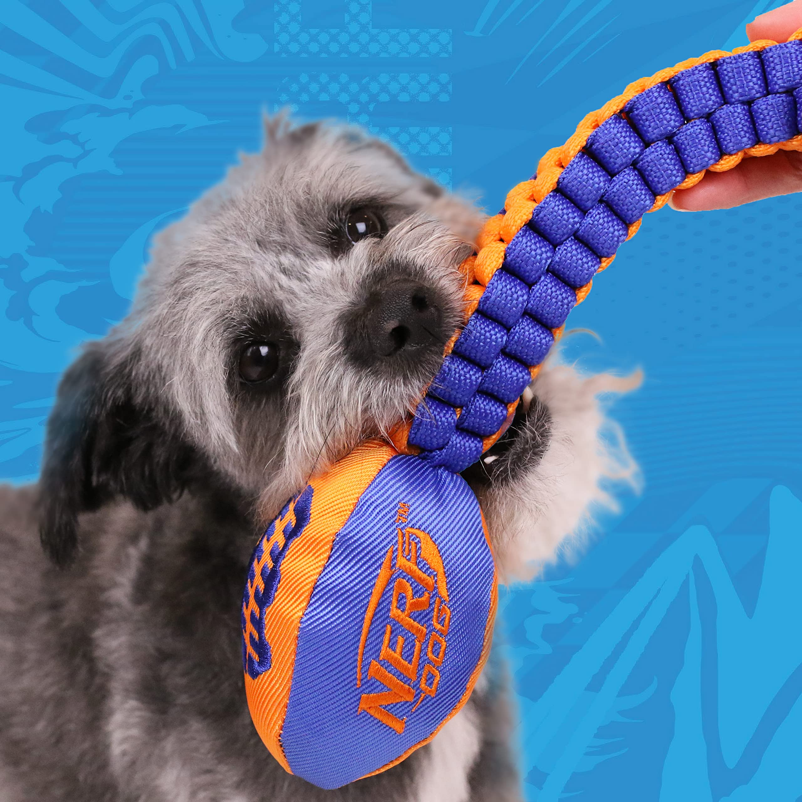 Nerf Dog Vortex, tête-football avec sifflet, stimule le jeu et l'interaction.