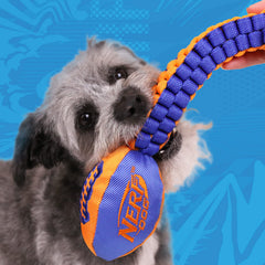 Nerf Dog Vortex, tête-football avec sifflet, stimule le jeu et l'interaction.