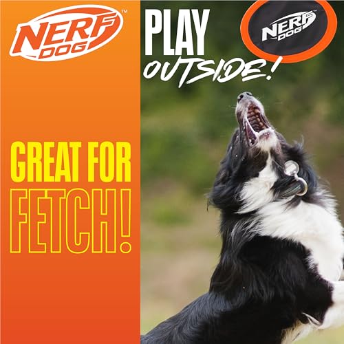 Nerf Dog Zone Flyer léger et durable pour des jeux répétitifs en extérieur.
