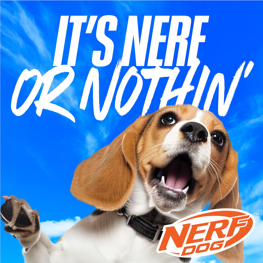 Nerf Dog Zone Flyer idéal pour plage et piscine, sessions de jeu dynamiques.
