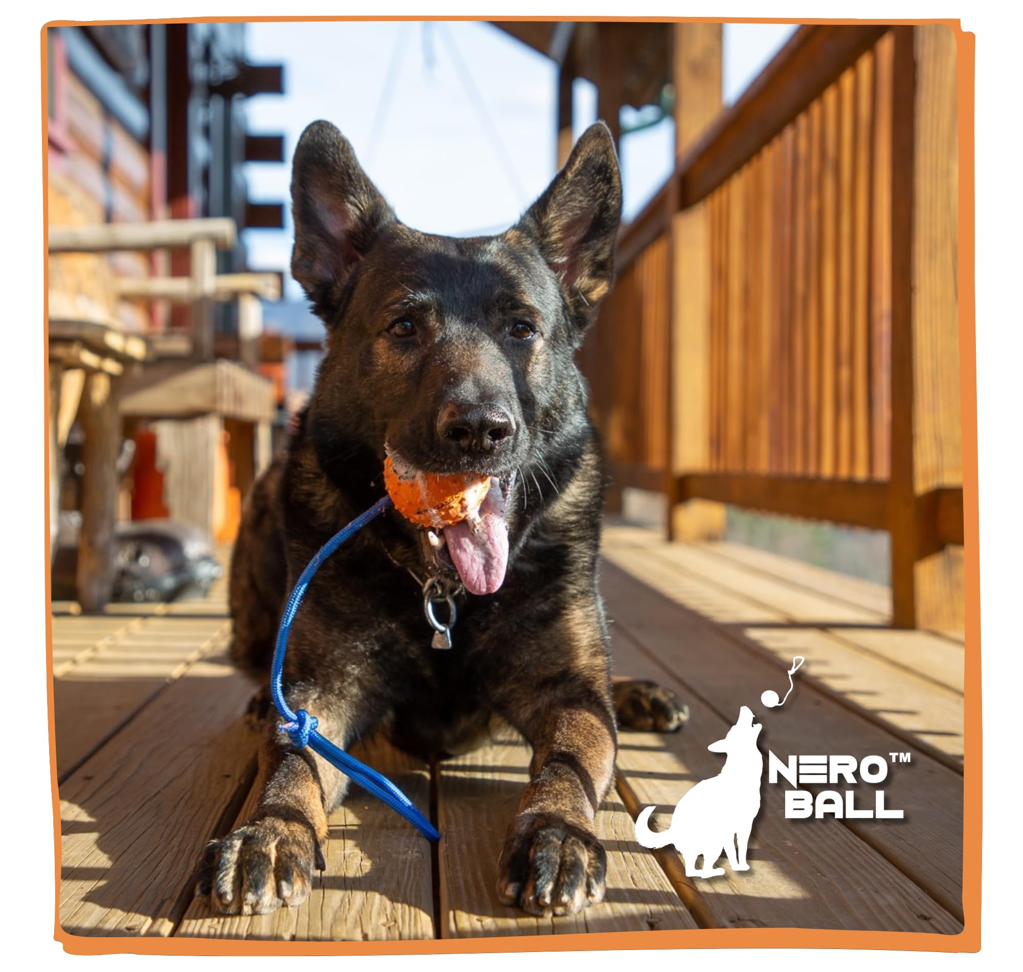 The Nero Ball Classic : utilisation par les équipes police K-9