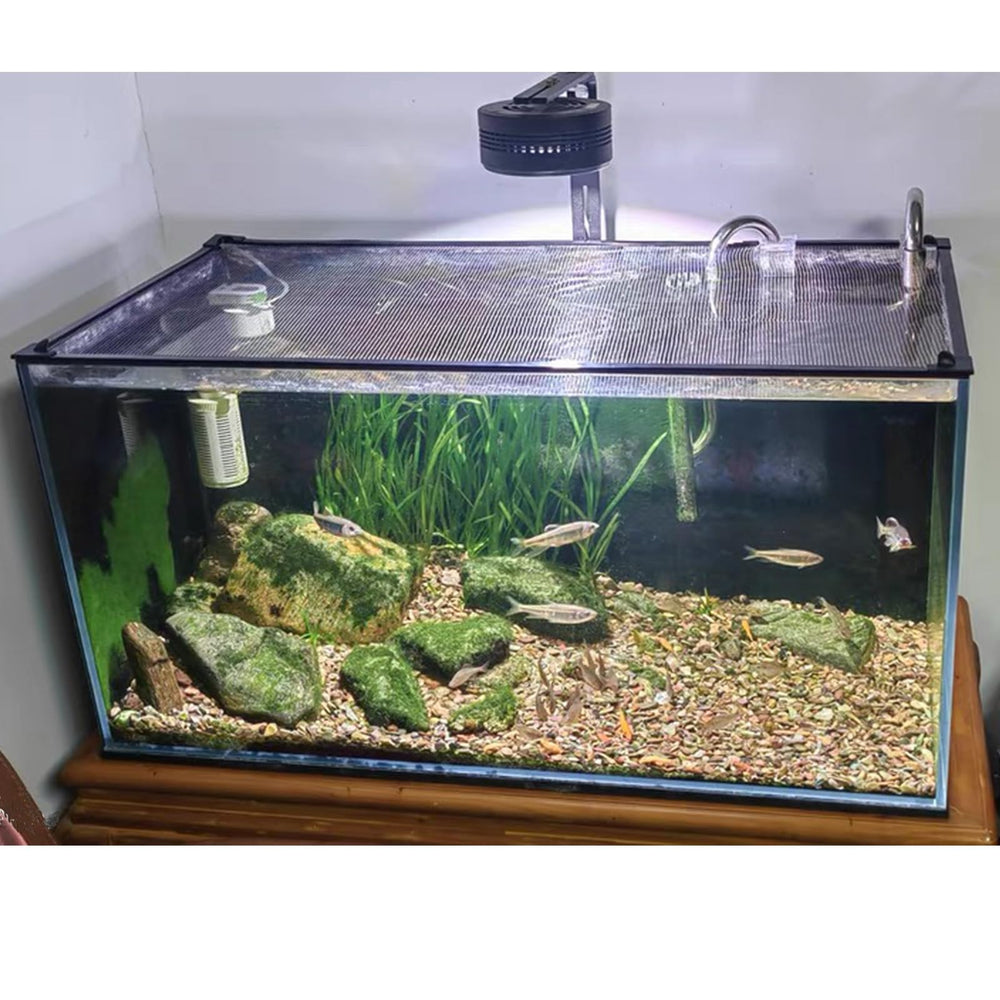 NestBasics montage-facile-aquarium installation rapide sans outils spéciaux.