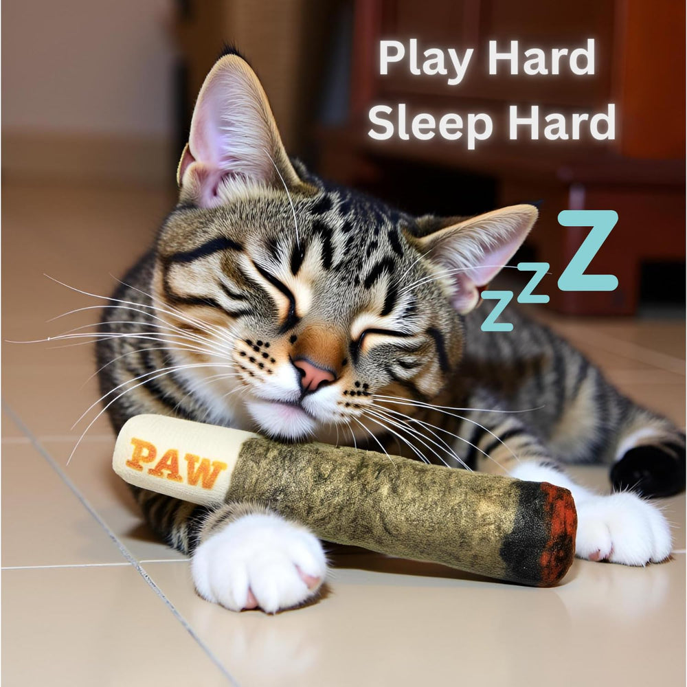 Nestpark Cat Doobie: cadeau parfait pour les amateurs de chats.