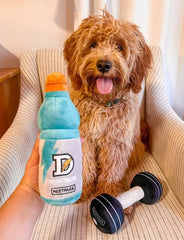 Nestpark haltère Doggyade pour exercices interactifs avec votre chien.
