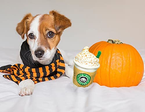 Nestpark Pup'kin Latte Épicé: jouet avec couineur, entretient l'énergie du chien.