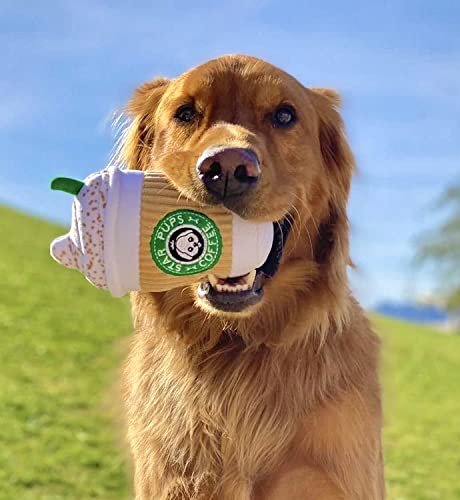 Nestpark jouet chien Pup'kin Latte Épicé, cadeau amusant pour anniversaire chiot.