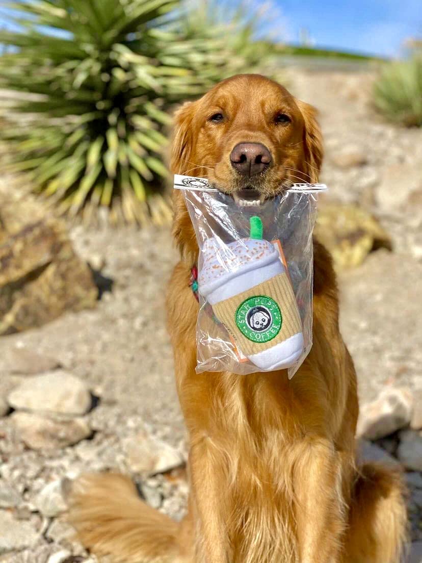 Nestpark Pup'kin Latte Épicé, jouet peluche idéal pour jeux d'intérieur.