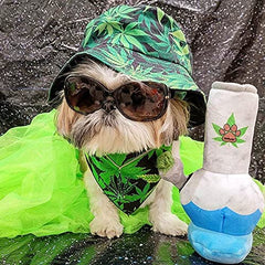 Nestpark Puppy Chiefer 3000, taille parfaite 9,5 pouces pour tous les chiens.