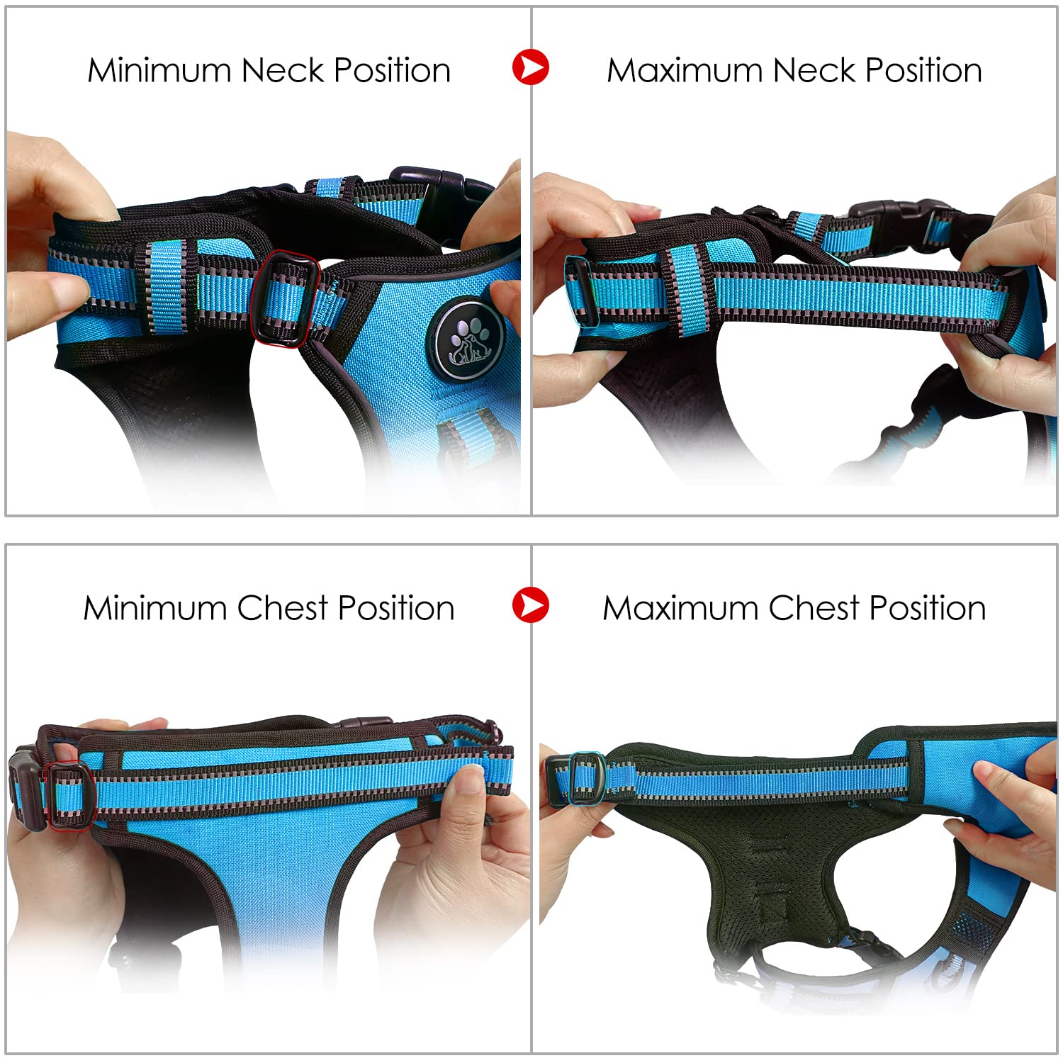Laisse et accessoires NESTROAD bleu inclus, solution pratique pour sorties.