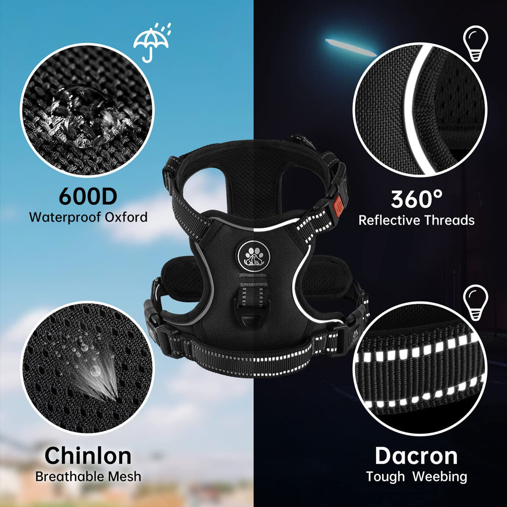 Harnais Nestroad réfléchissant pour promenades nocturnes en sécurité.
