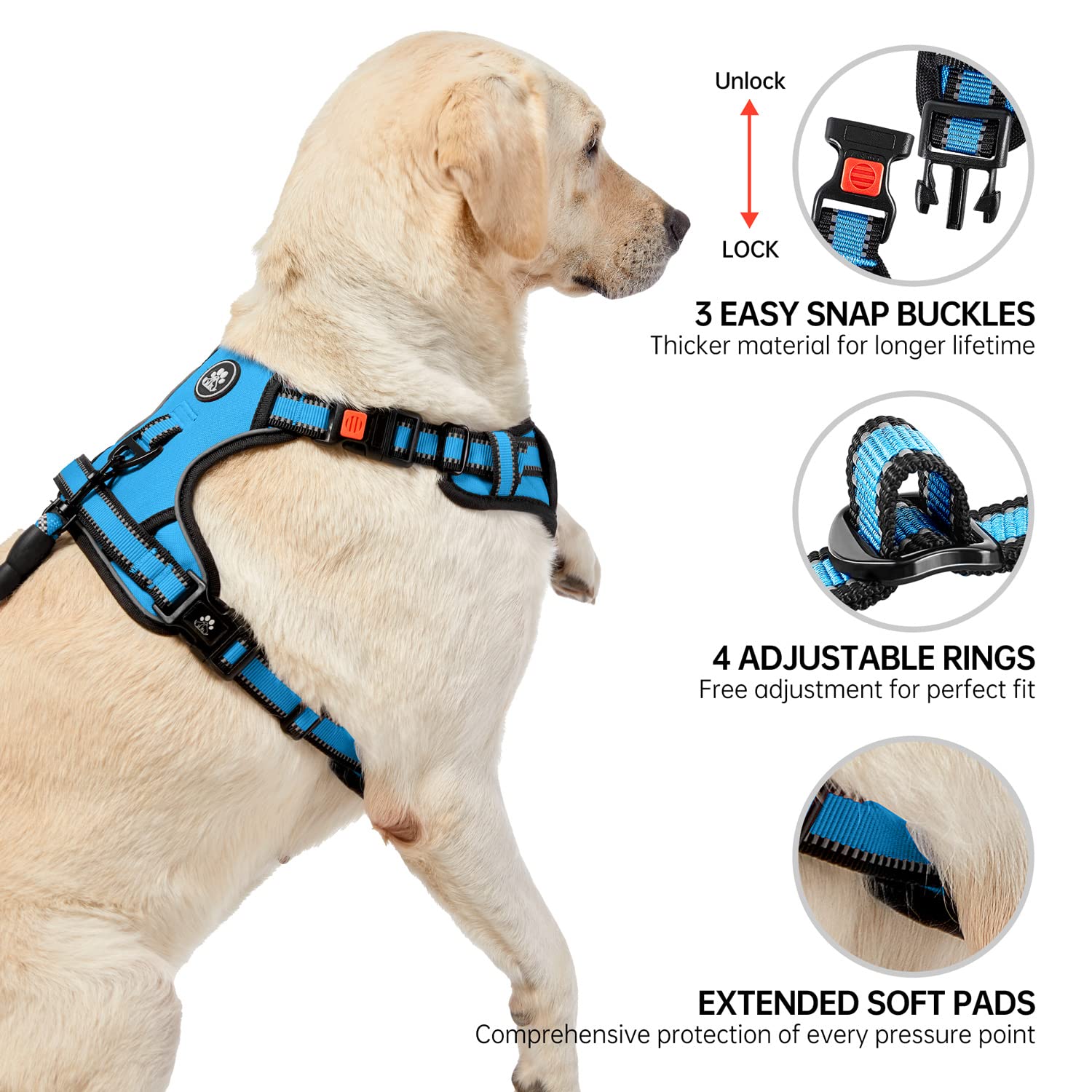 Harnais NESTROAD clips avant-arrière bleu, contrôle et promenade simplifiés.